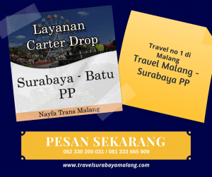 Travel malang surabaya pp